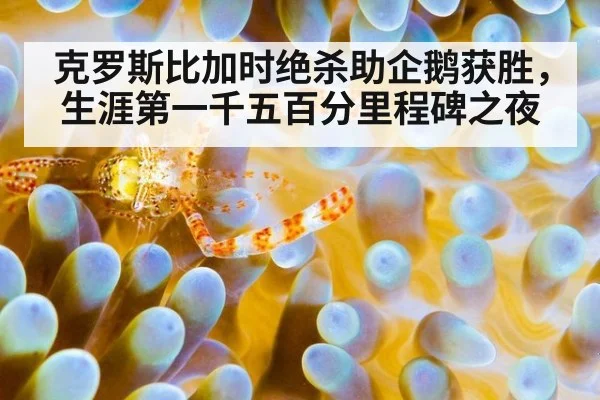 克罗斯比加时绝杀助企鹅获胜,生涯第一千五百分里程碑之夜